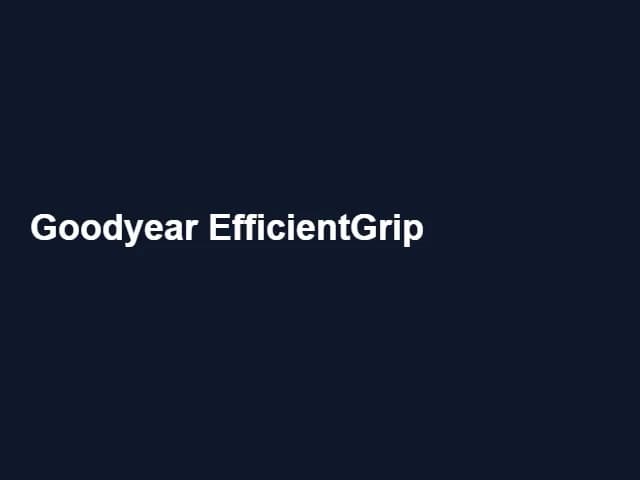 Goodyear EfficientGrip 205/55/R16 ikinci el lastik fotoğrafı